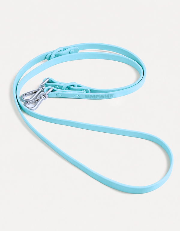 City Dog Leash - Aqua