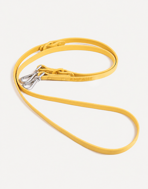 City Dog Leash - Lemon
