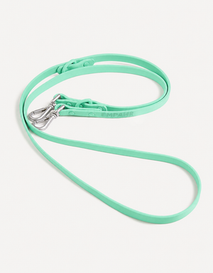 City Dog Leash - Lime