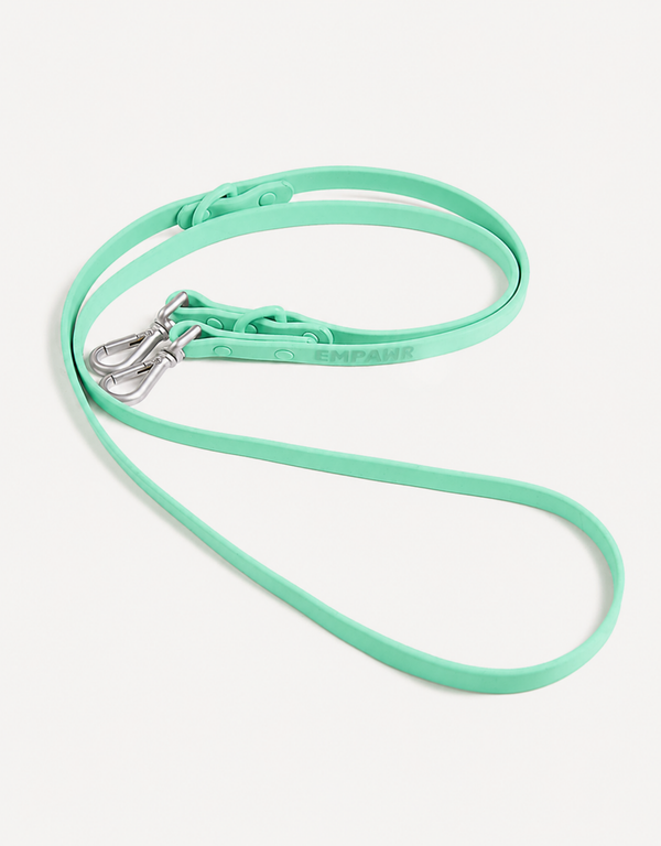 City Dog Leash - Lime