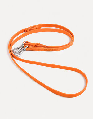 City Dog Leash - Orange