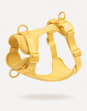 Comfort Fit Dog Harness - Lemon