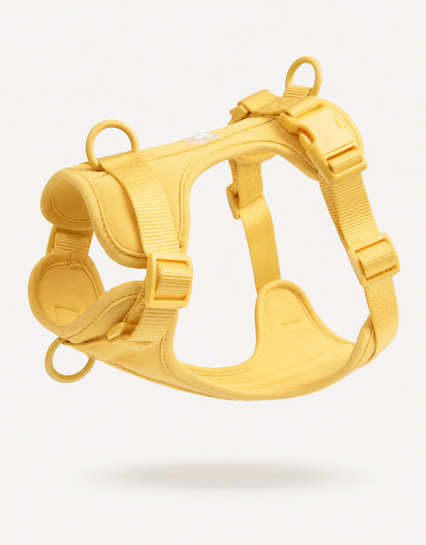 Comfort Fit Dog Harness - Lemon