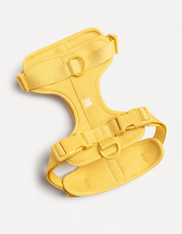 Comfort Fit Dog Harness - Lemon