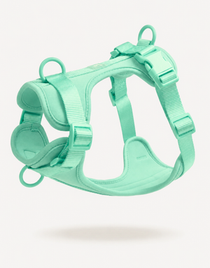Comfort Fit Dog Harness - Lime