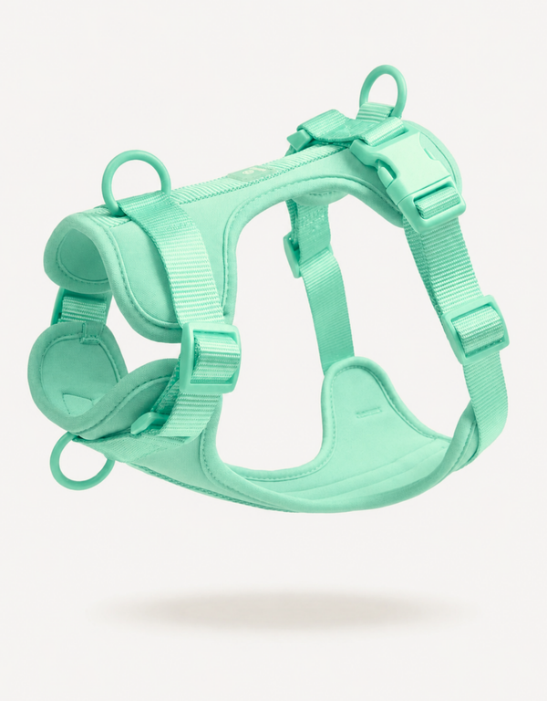 Comfort Fit Dog Harness - Lime
