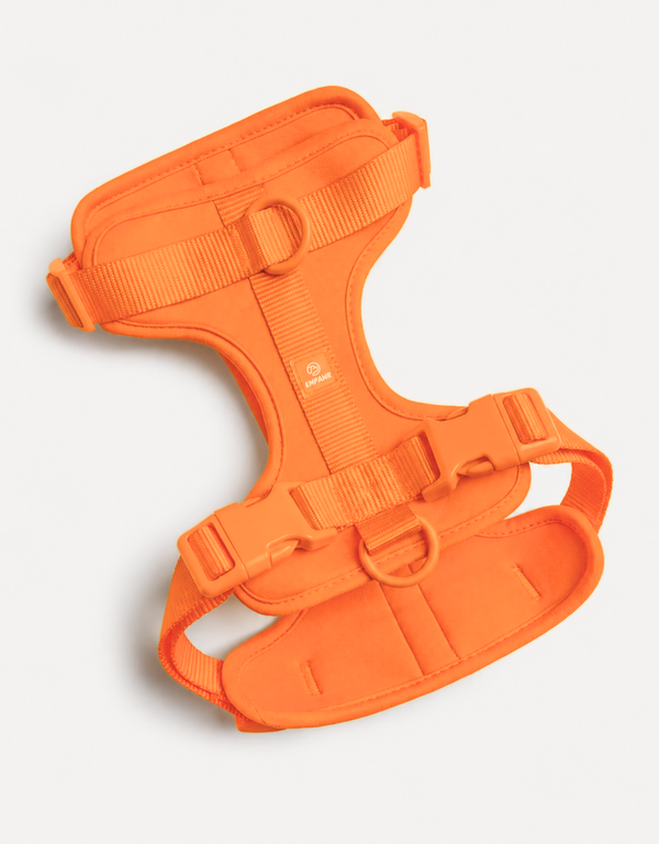 Comfort Fit Dog Harness - Orange