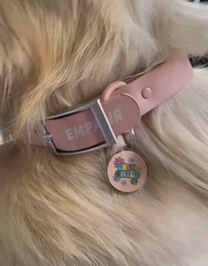 city dog collar - blush