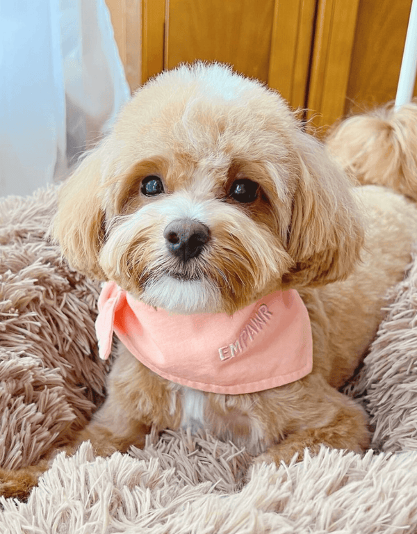 Pink Dog Bandana