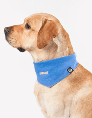 Blue Dog Bandana