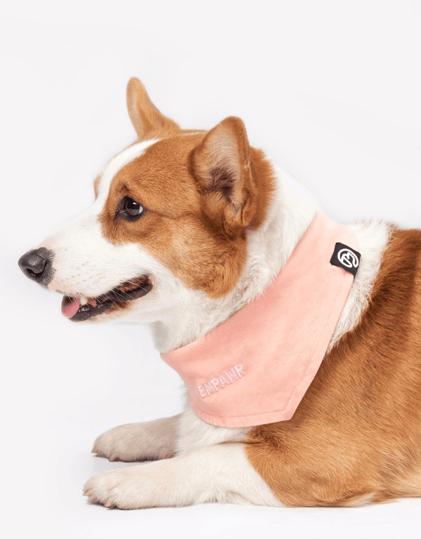Pink Dog Bandana