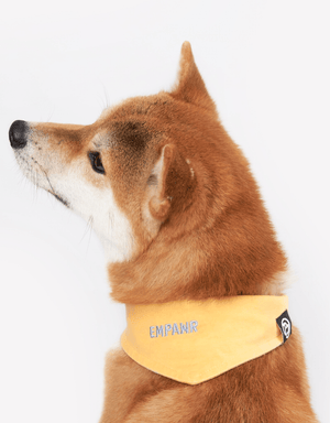 Yellow Dog Bandana