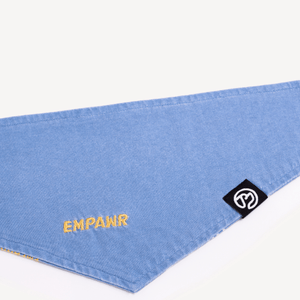Blue Dog Bandana Set - Empawr