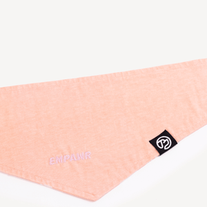 Baby Twins Dog Bandana Set - Empawr