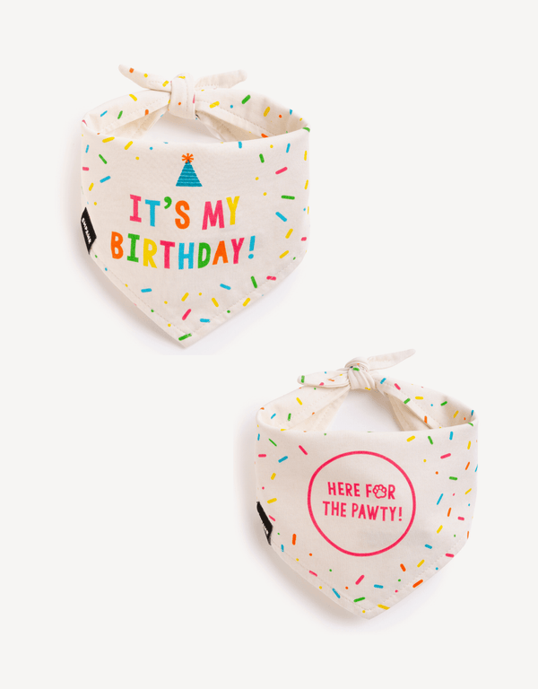 Birthday Dog Bandana Set - Empawr