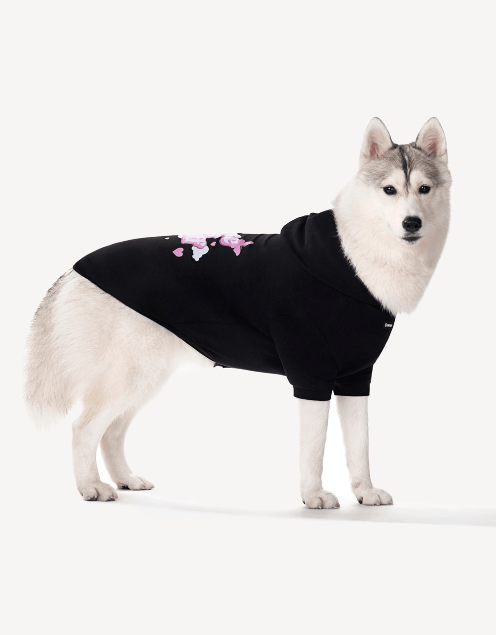 Dog Hoodie Black Cute