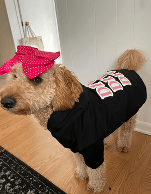 DIVA Dog Hoodie Black - Empawr