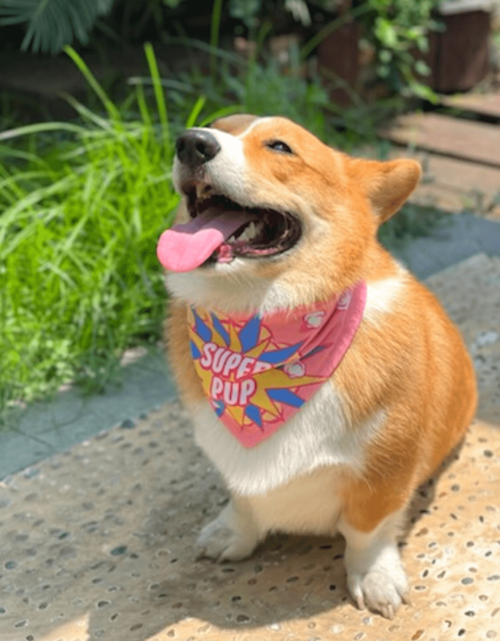 Chicago Cubs Pink Dog Bandana - Dress Up Your Pup