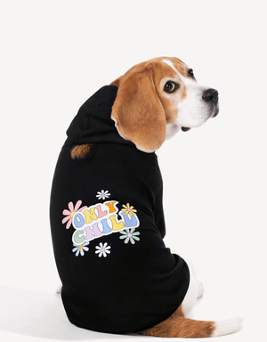 Dog Hoodie Black Rainbow Colorful