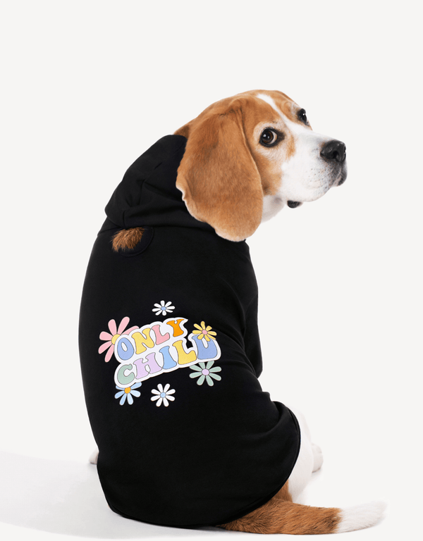 Dog Hoodie Black Rainbow Colorful
