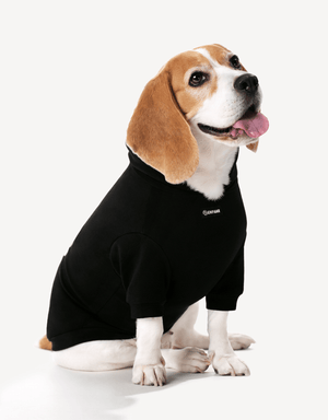 Dog Hoodie Black Rainbow Colorful