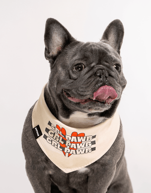 Beige Dog Bandana Cool