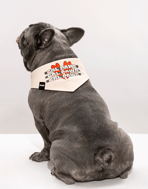 Beige Dog Bandana Cool