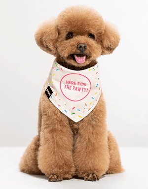 Birthday Dog Bandana Party Set