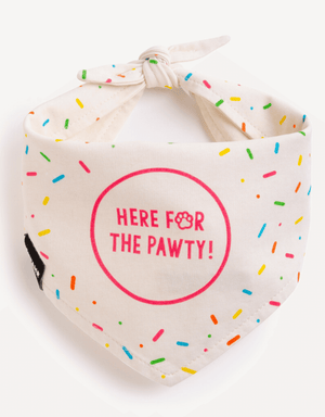 Birthday Dog Bandana