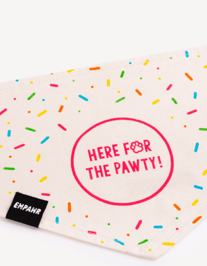 Birthday Dog Bandana Party Set