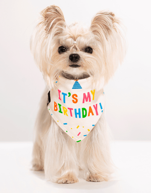 Birthday Dog Bandana Party Set