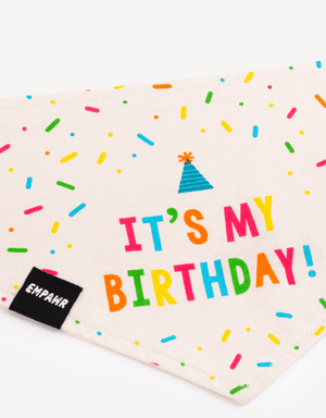 Birthday Dog Bandana Party Set