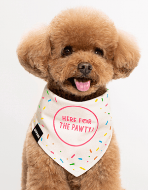 Birthday Dog Bandana