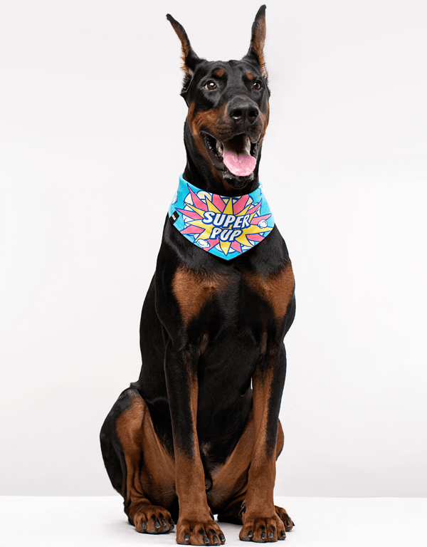 Blue Dog Bandana Cool