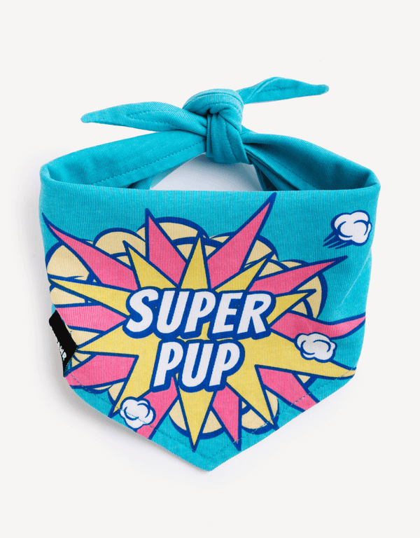 Power Twins Dog Bandana Set - Empawr