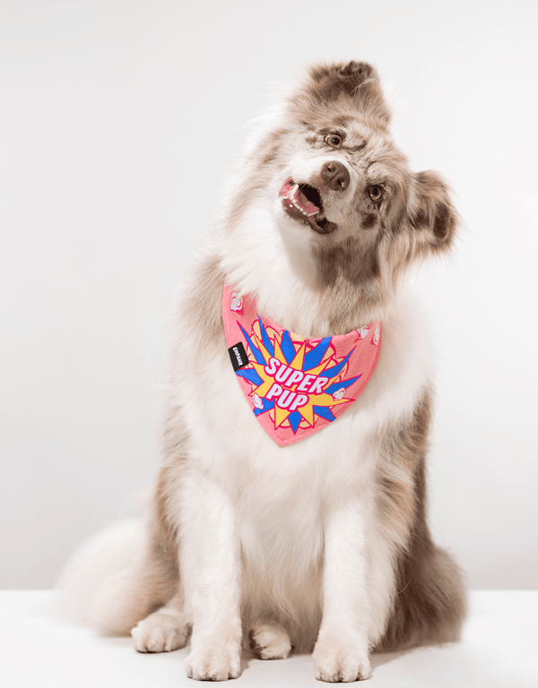 Pink Dog Bandana Cool