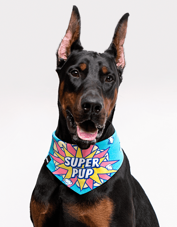 Blue Dog Bandana Cool