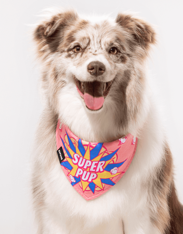 Pink Dog Bandana Cool