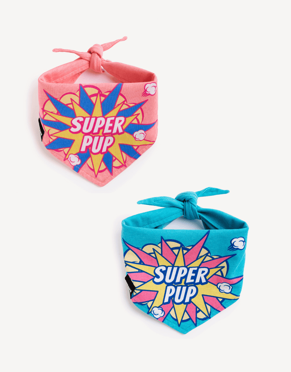 Power Twins Dog Bandana Set - Empawr